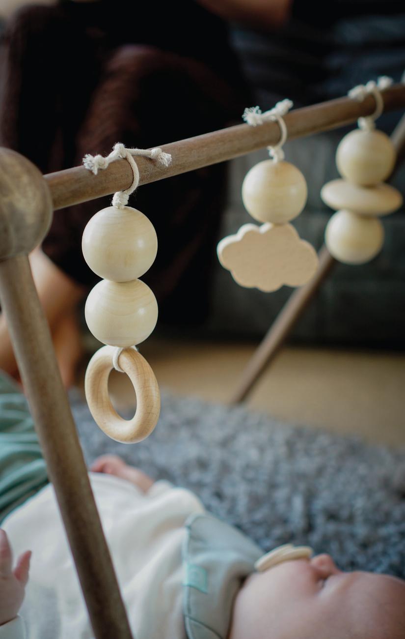 Wooden Toys for Wooden Baby Gym